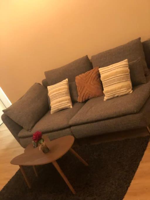 Superbe Appartement Tout Equipe, Le Nid D'Eva A Metz Gare, Parking Prive, Balcon, F2, 50M2, 3P Exterior photo